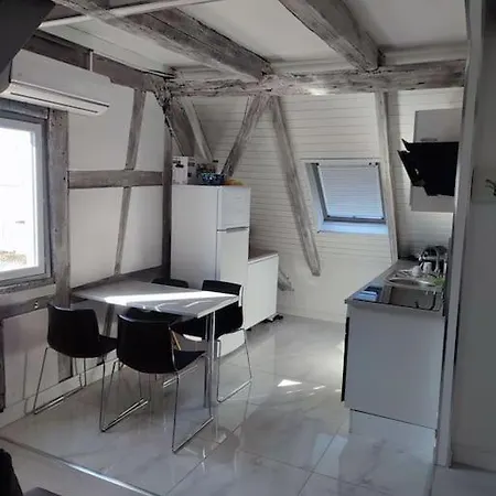 Duplex Aux Portes De Strasbourg Tram 100m アパート *