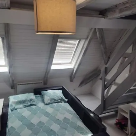 Duplex Aux Portes De Strasbourg Tram 100m