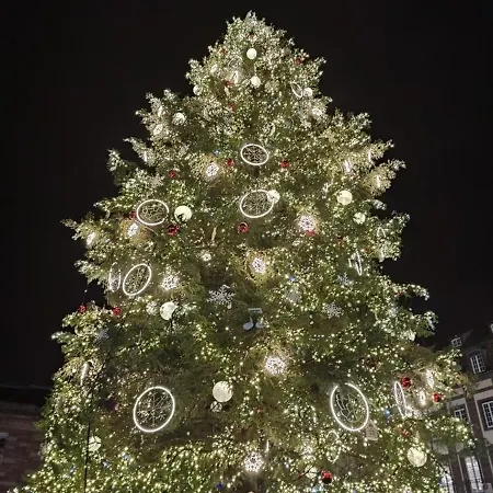 Duplex Aux Portes De Strasbourg Tram 100m シルティグアイム