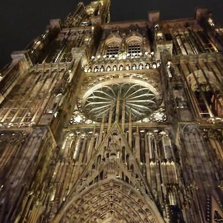 Duplex Aux Portes De Strasbourg Tram 100m アパート *