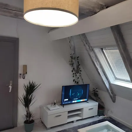 Apartamento Duplex Aux Portes De Strasbourg Tram 100m