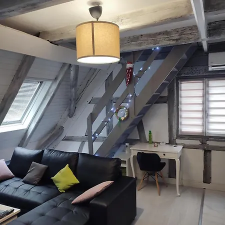 Duplex Aux Portes De Strasbourg Tram 100m Apartment