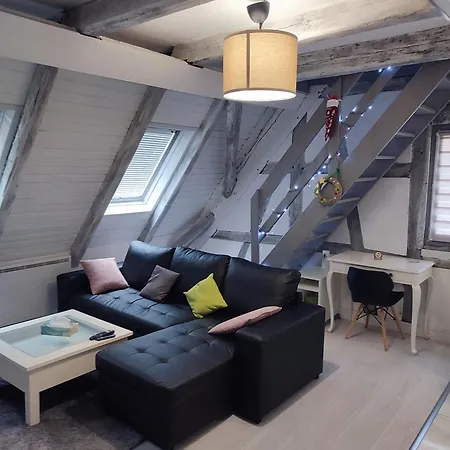 Duplex Aux Portes De Strasbourg Tram 100m Schiltigheim