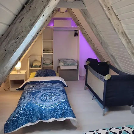 Duplex Aux Portes De Strasbourg Tram 100m