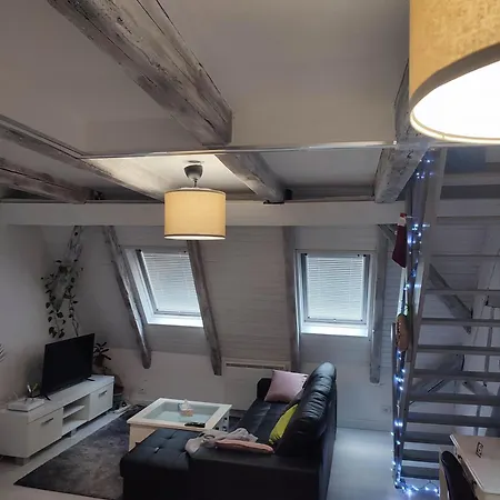 Duplex Aux Portes De Strasbourg Tram 100m アパート