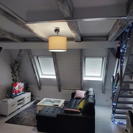 Duplex Aux Portes De Strasbourg Tram 100m Apartment *